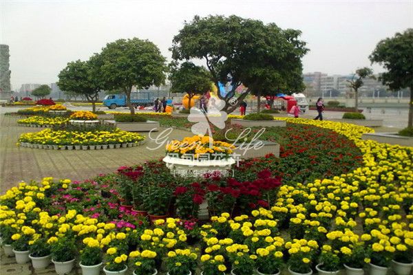 道路綠化養(yǎng)護(hù)