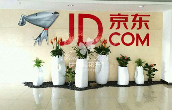 logo下方植物租擺