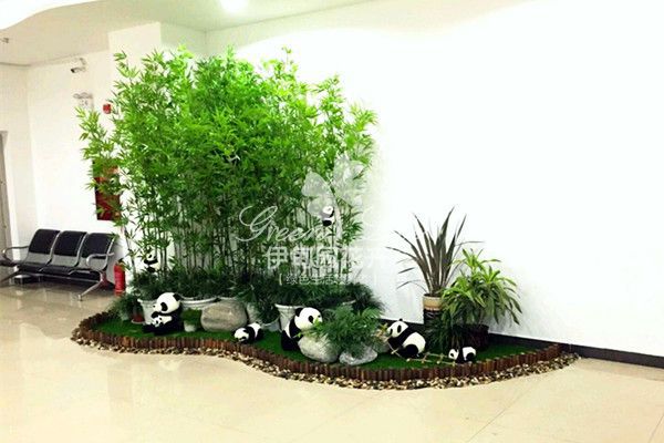 過道植物租擺