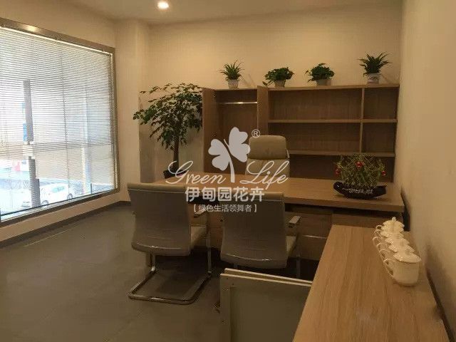 經(jīng)理辦公室植物租擺