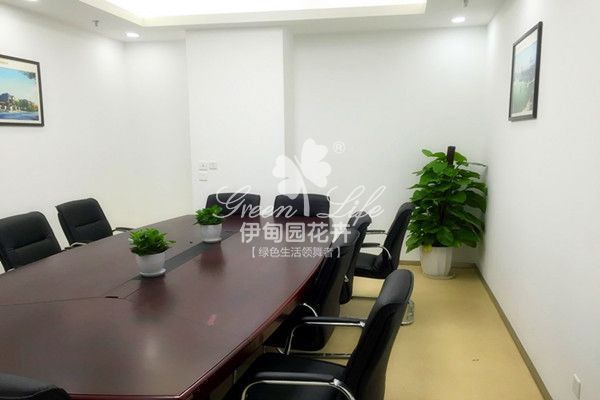 【綠植物租賃】會(huì)議室