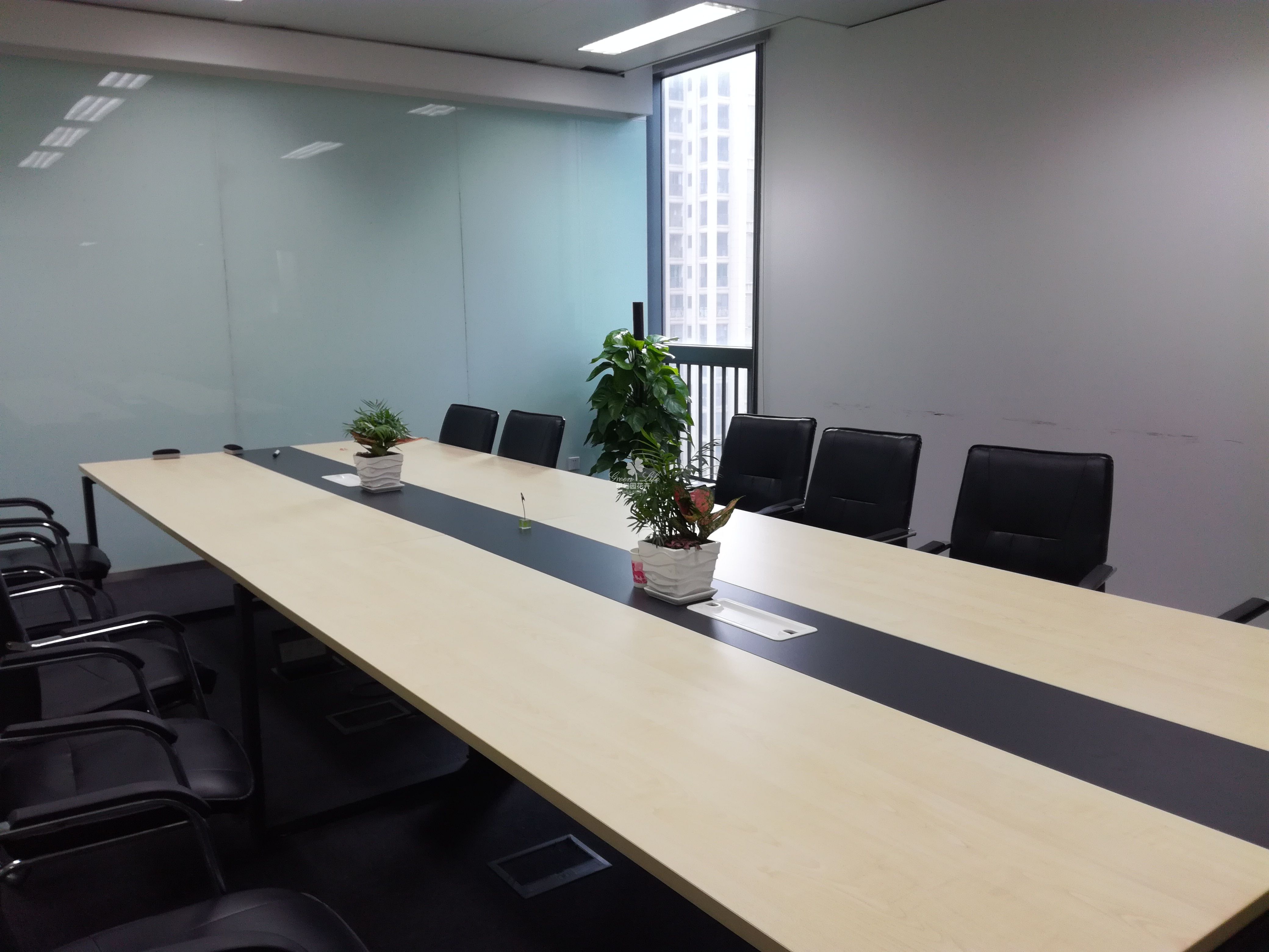 會議室植物租賃