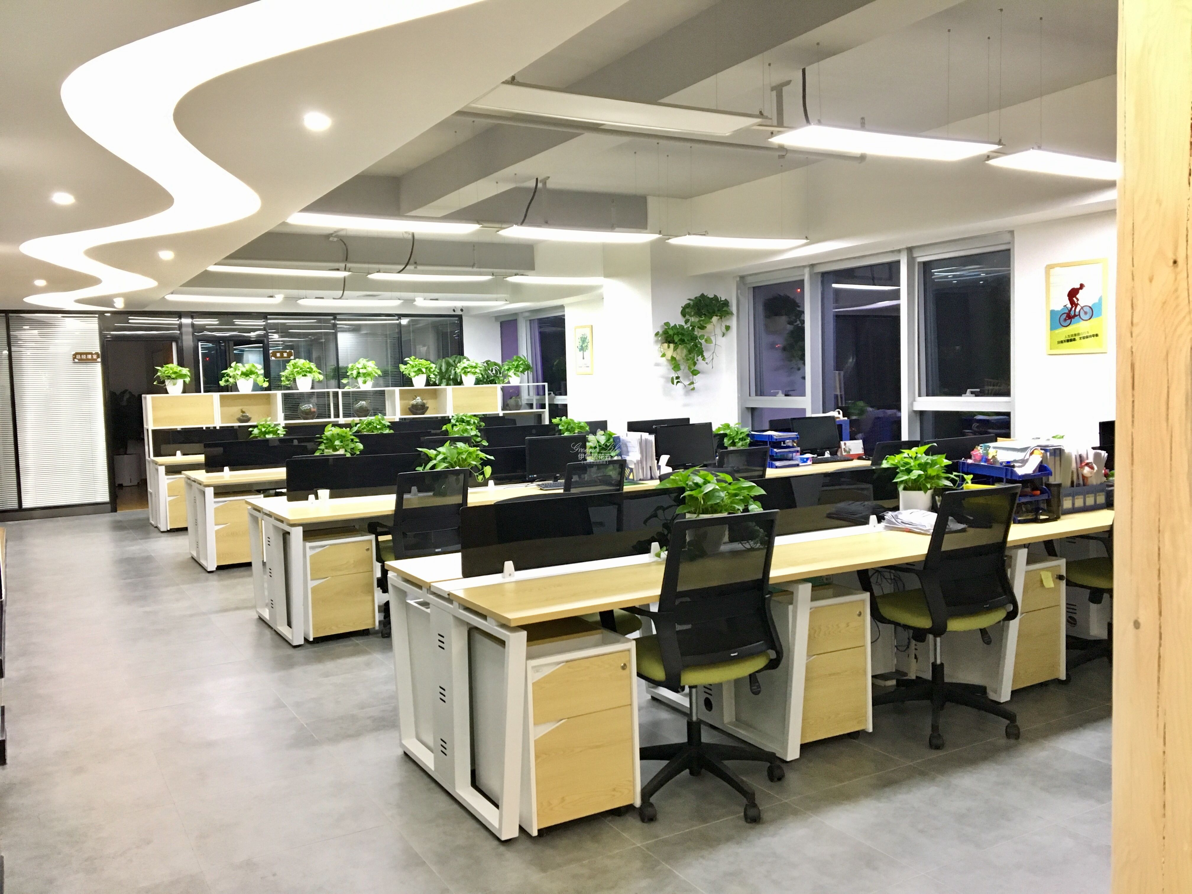 開放辦綠植租賃