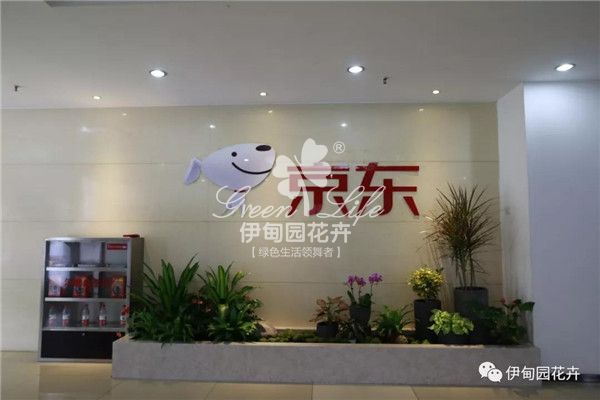 京東雙十一造景