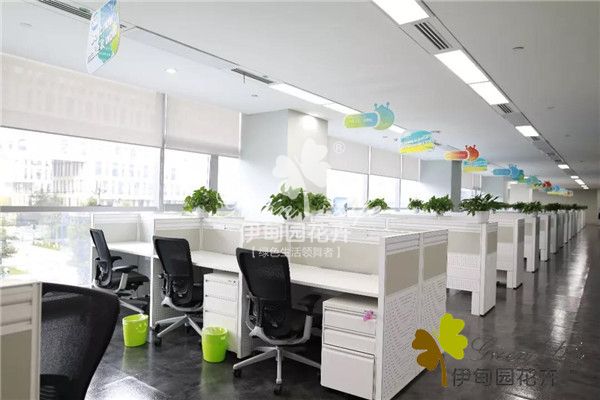 螞蟻金服租植物案例