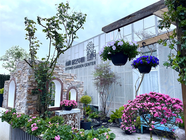 三天時(shí)間，完美蛻變，希桐園藝首屆藝術(shù)盆栽培訓(xùn)開始報(bào)名啦！