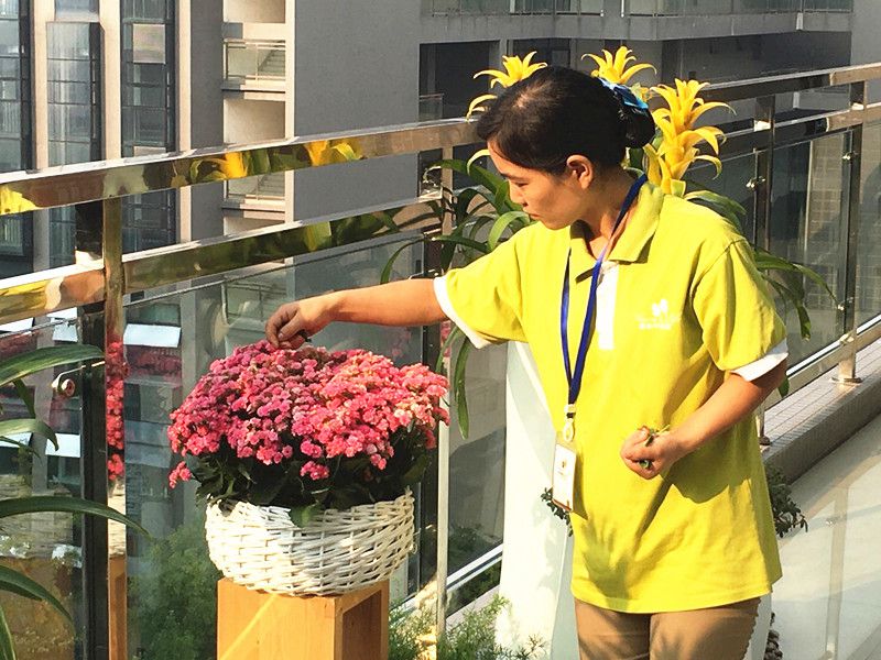 1472628288349593.jpg IMG_1494.JPG