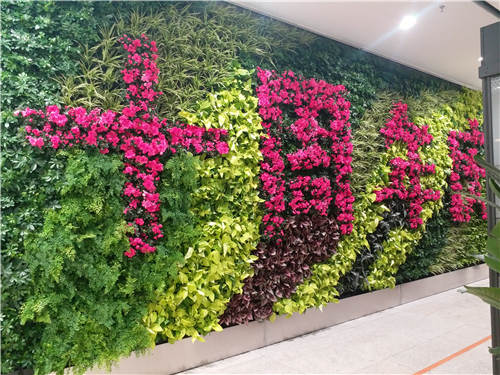 伊藤錦華店10周年綠墻